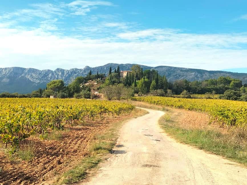 Customizable Aix-en-Provence, Marseille, Cassis, Countryside - Price, group size, and real value