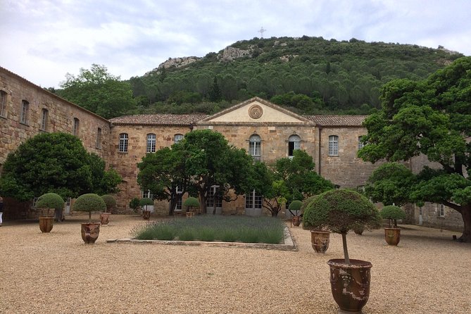 Day Tour to Lagrasse village and Fontfroide Abbey.Private tour from Carcassonne. - What a private guide changes