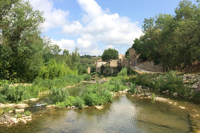Day Tour to Lagrasse village and Fontfroide Abbey.Private tour from Carcassonne. - Who will enjoy this Carcassonne day trip?