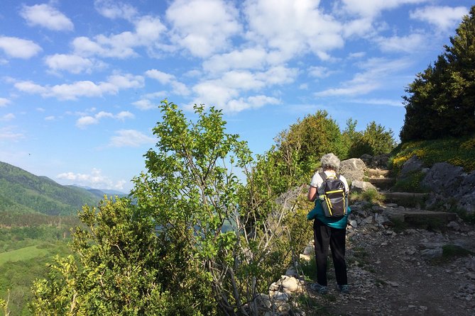 Day Tour to Mirepoix, Montségur, Camon. Private tour from Carcassonne - What the private format is worth