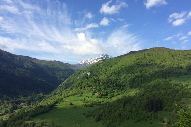 Day Tour to Mirepoix, Montségur, Camon. Private tour from Carcassonne - Montségur: history with a physical price