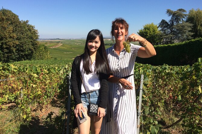 Day trip by van in Champagne small group of 8 - Avenue de Champagne cave tour: the little train and audio guide