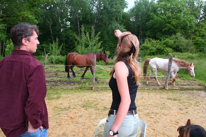 Day Trip from Paris - French Food, Rural Experiences & Horses! - A homemade French lunch, not a luxury tasting