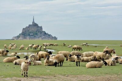 Day Trip with a local driver Mont Saint-Michel from Saint-Malo - 6 hours - Inside the Abbey of Mont Saint-Michel
