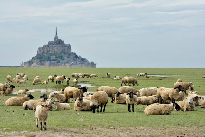 Day Trip with a local driver Mont Saint-Michel from Saint-Malo - 6 hours - Inside the Abbey of Mont Saint-Michel