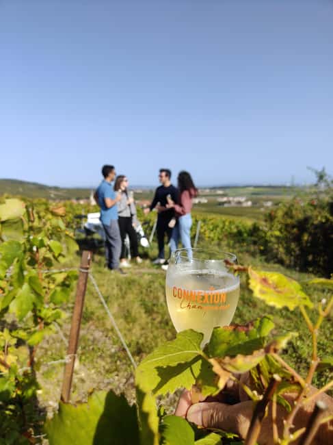 Dégustation de champagne balade panoramique dans les vignes - From behind Reims Cathedral to the Defender