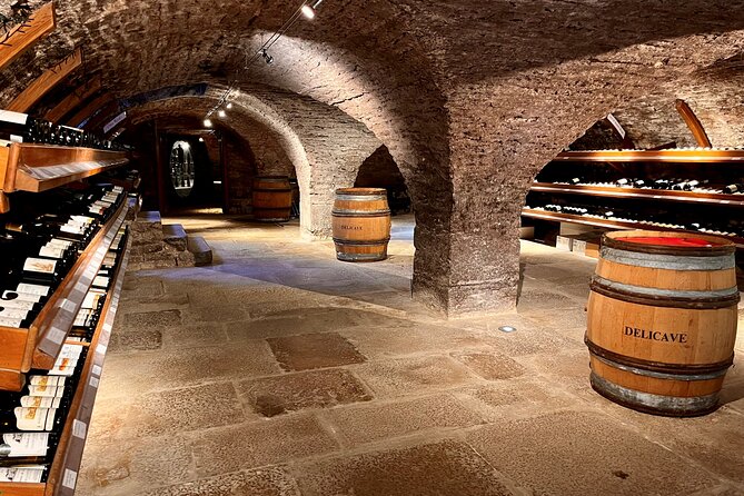 Délicave: Immersive Exhibition & Wine Tasting - A Cellar Visit With More Than Wine