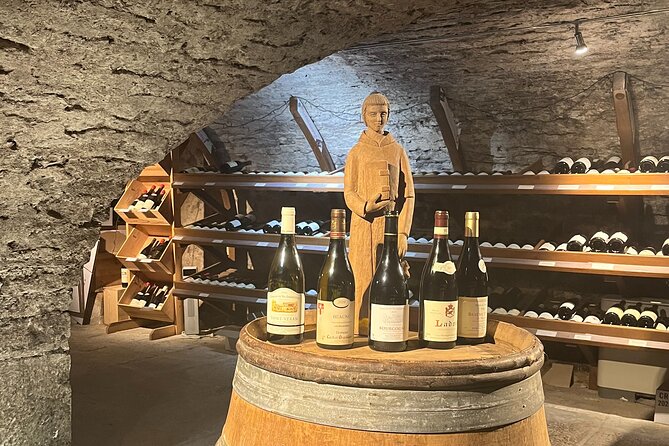 Délicave: Immersive Exhibition & Wine Tasting - The Forests in Sufferance Exhibition