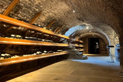 Délicave: Immersive Exhibition & Wine Tasting - What the Tasting Style May Be Like