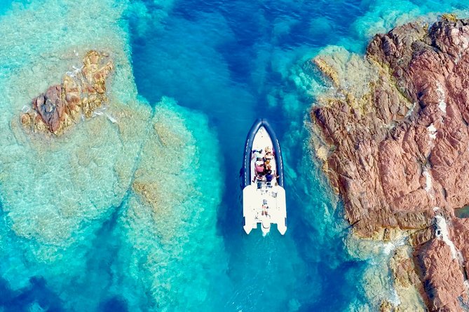 Depart Saint Raphaël: Meet the Dolphins - Why the Pelagos Cetacean Sanctuary is the point
