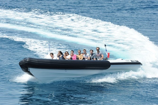 Depart Saint Raphaël: Meet the Dolphins - Price and value: what $180.04 buys you