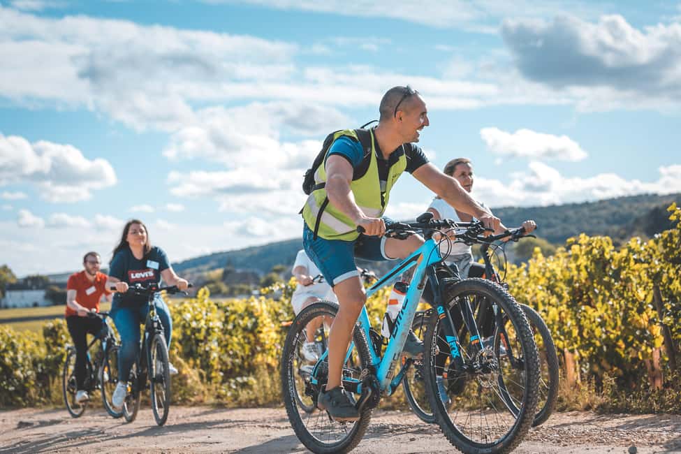 Dijon: Bike tour and Tastings in the Vineyards of Burgundy - Key points you’ll care about