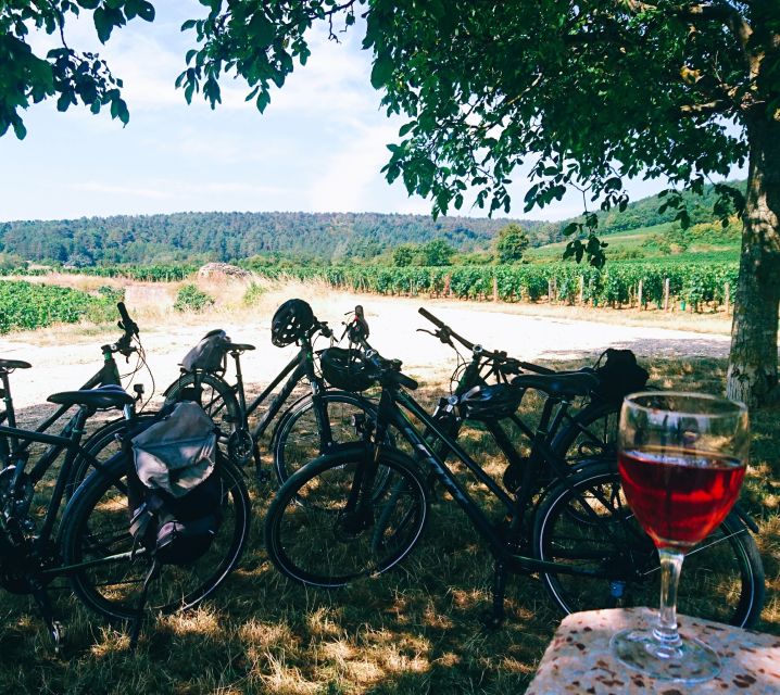 Dijon: Bike tour and Tastings in the Vineyards of Burgundy - The ride itself: easy biking through Marsannay-la-Côte and friends