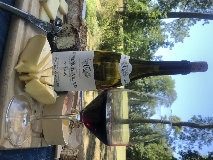 Dijon: Cheese and Burgundy Wine Tasting Workshop - Who Should Book This Workshop (And Who Might Skip It)