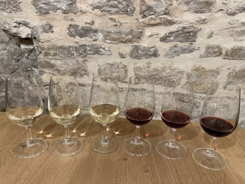 Dijon: Cheese and Burgundy Wine Tasting Workshop - Meeting in a Center-of-Town Cellar (And Getting Oriented Fast)