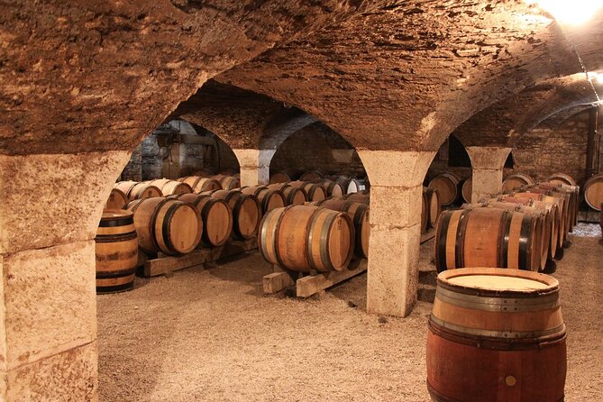 Dijon guided tour with wine tasting included ! - The Musée des Beaux-Arts and a confusing time listing