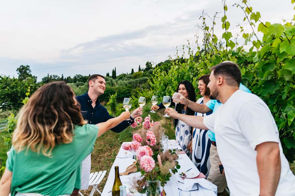 Dinner in the vineyard French Riviera - Key points to know before booking