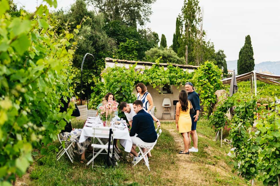 Dinner in the vineyard French Riviera - A vineyard dinner built around the chef