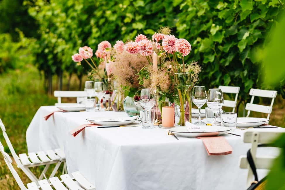 Dinner in the vineyard French Riviera - The chef and the meal are the main event