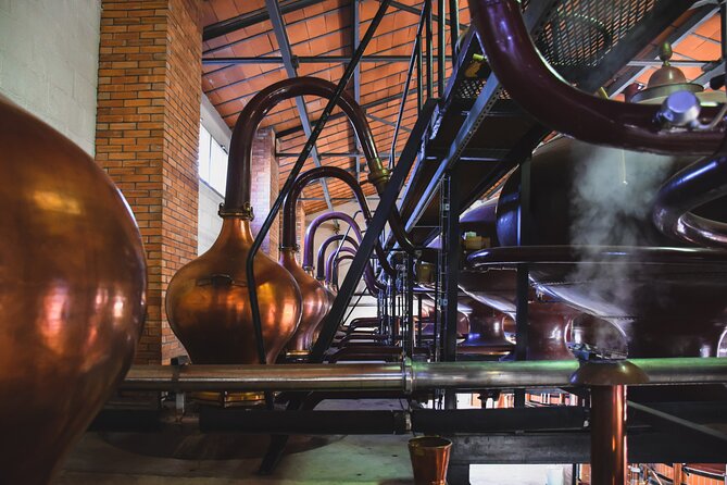 Discover Braastad Cognac - The 90-minute plan: what you’ll see, in order