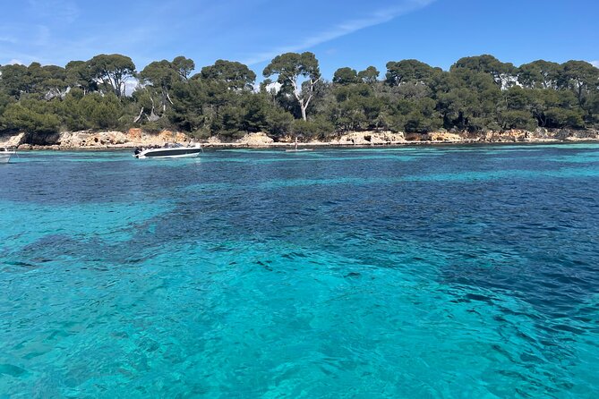 Discover the Lérins Islands and the Bay of Cannes by Private Boat - Stop 5: Croisette views from the sea