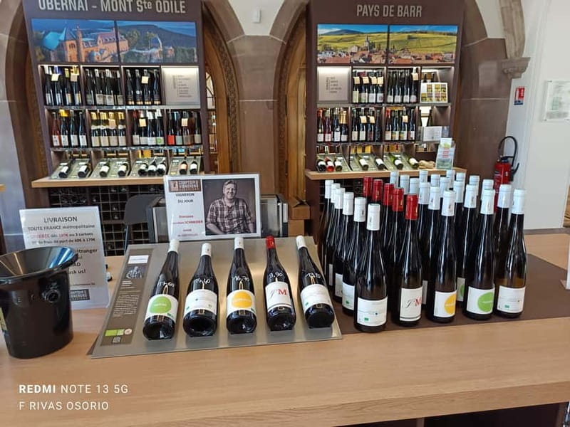 Discover the Wines of Alsace and a brief introduction to Strasbourg. - Key points to know before booking