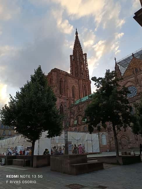 Discover the Wines of Alsace and a brief introduction to Strasbourg. - The 45-minute Alsatian wine tasting