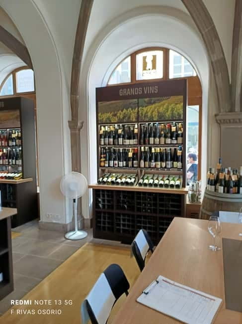 Discover the Wines of Alsace and a brief introduction to Strasbourg. - Ending near Place Gutenberg