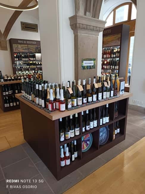 Discover the Wines of Alsace and a brief introduction to Strasbourg. - Should you book the Strasbourg wine and city walk?