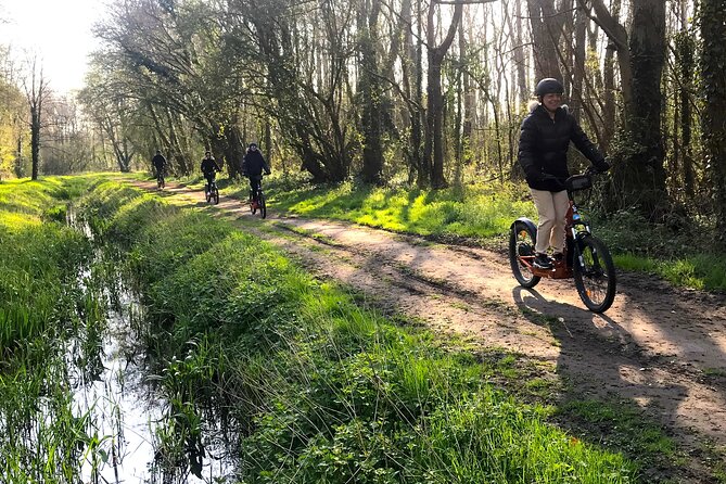 Discover Versailles on electric 2-wheelers (Yes to PRM) - Apollo, lanterns, and other sights that are easier from a scooter