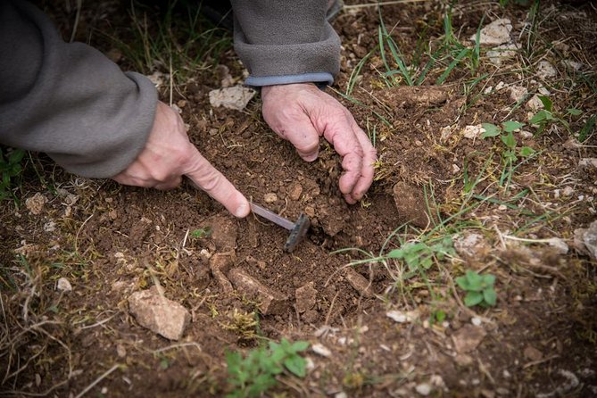 Discovery of the world of Truffles and tasting - Key things to know before you go