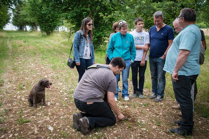 Discovery of the world of Truffles and tasting - Truffles in Burgundy, minus the guesswork