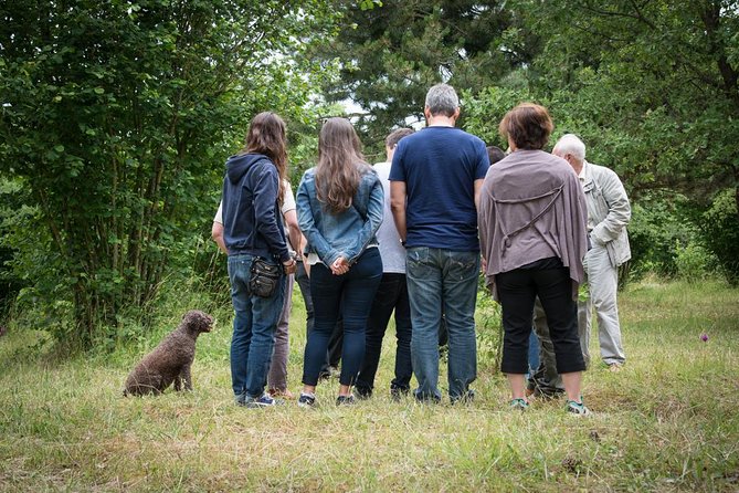 Discovery of the world of Truffles and tasting - How much time is actually spent hunting?