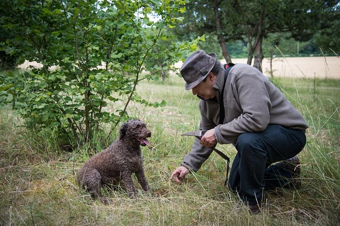 Discovery of the world of Truffles and tasting - Who this truffle experience is best for