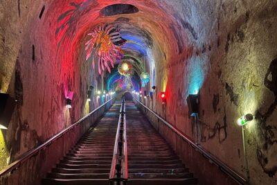 Discovery Tour Reims and Epernay - Notre-Dame de Reims and the French crown