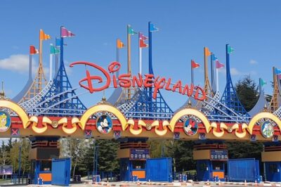 Disney Land Paris 1 Day Tour with Private Transportation Included - Main Street, Characters, and the Disney Setting