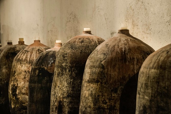 Domain visit - What you’ll taste: nine vintages in the cellar
