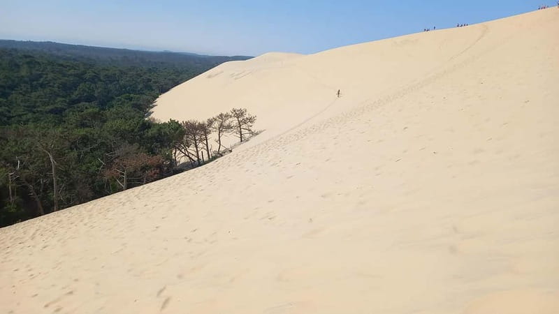Dune du Pilat, Oysters Tasting and Arcachon! What else ? - How the drive out of Bordeaux sets the tone