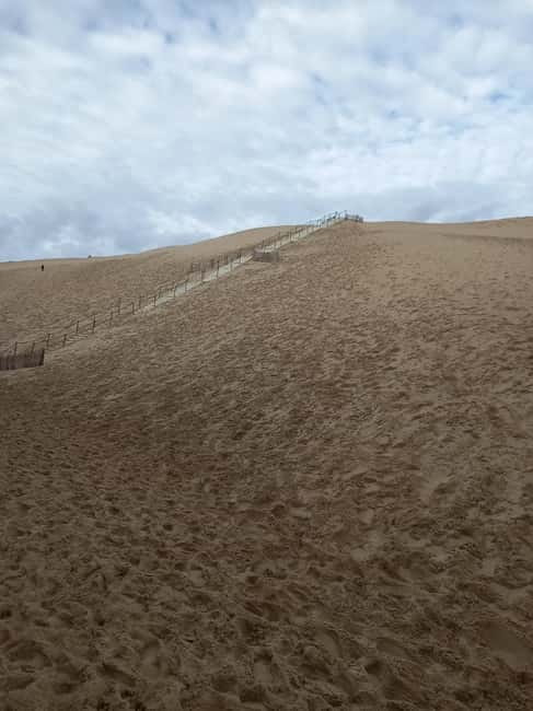 Dune du Pilat, Oysters Tasting and Arcachon! What else ? - La Teste-de-buch Oyster Port: eat like the coast does business
