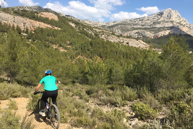 E-Bike tour of Sainte Victoire Mountain, Aix-en-Provence - Price and value: $84.69 for a half-day that feels like more than a ride