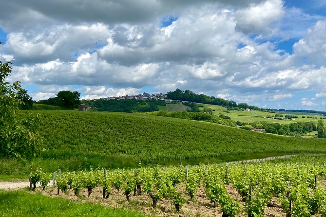 Eco Circuit to Discover Sancerre - Seeing Sancerre from a golf cart