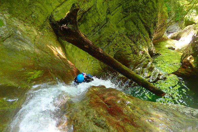 Ecouges sensational canyoning in the Vercors (Grenoble / Lyon) - The price and what you get for $70.98