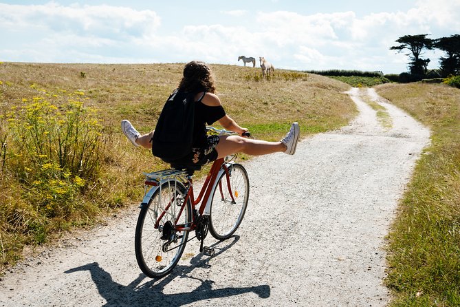 Electric bike excursion in Camargue - Camargue by Wheel: Marshes, Rice Fields, and Reed Beds