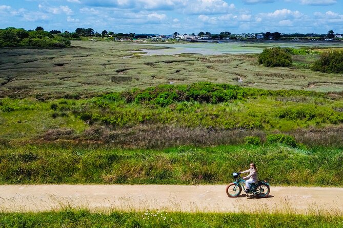 Electric Fatbike - 3H00 GPS-guided circuit"Carnac" - Kermario, Menec, and the Manio giant