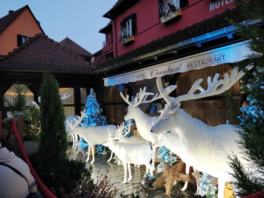 Enchanting Christmas Experience From Colmar - Colmar departure at 10:00: vineyards, villages, and the easy start