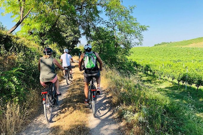 Enjoy a Wine Tasting after a cycling excursion in the magic of Tuscany - Key points to know before booking