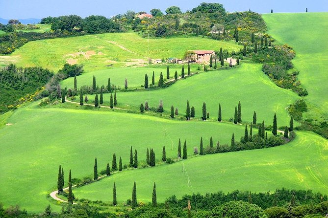 Enjoy a Wine Tasting after a cycling excursion in the magic of Tuscany - Returning to the vineyard and winery