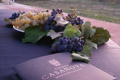Enjoy a Wine Tasting after a cycling excursion in the magic of Tuscany - Cycling the Tuscan hills at a manageable pace