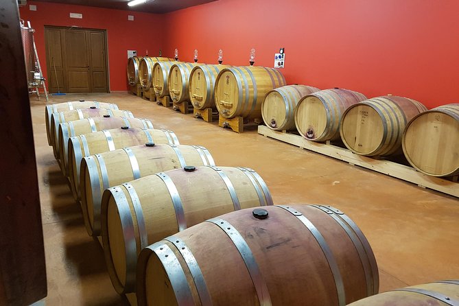 Enjoy a Wine Tasting after a cycling excursion in the magic of Tuscany - A Tuscan lunch with more than a light snack