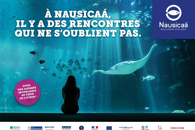Entrance Ticket Nausicaa, the biggest aquarium in Europe - Nausicaa skip-the-line: what you’re really buying